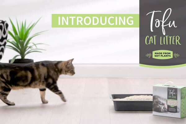 Want to learn more about Tofu Cat Litter?