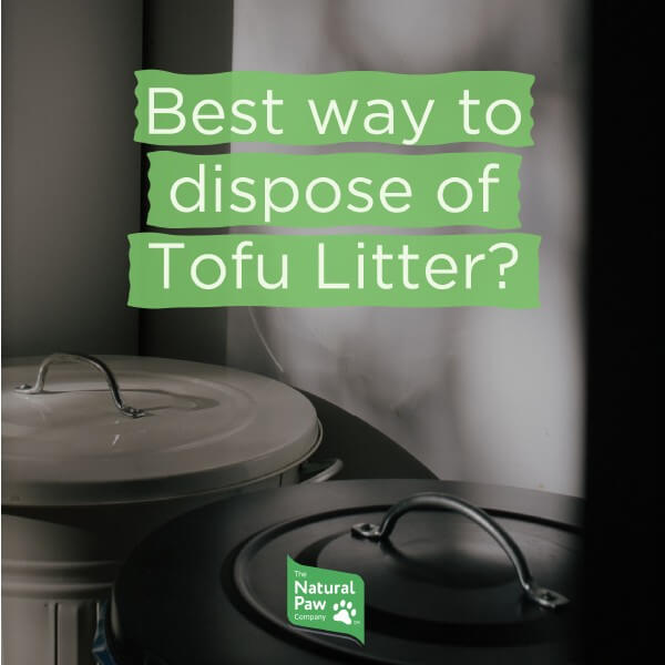 Dispose Cat Litter