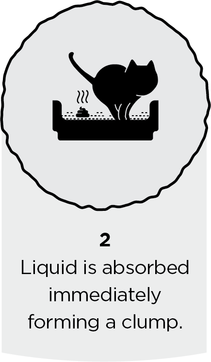 Step 2