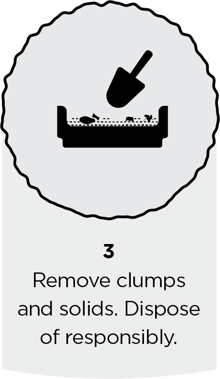 Step 3