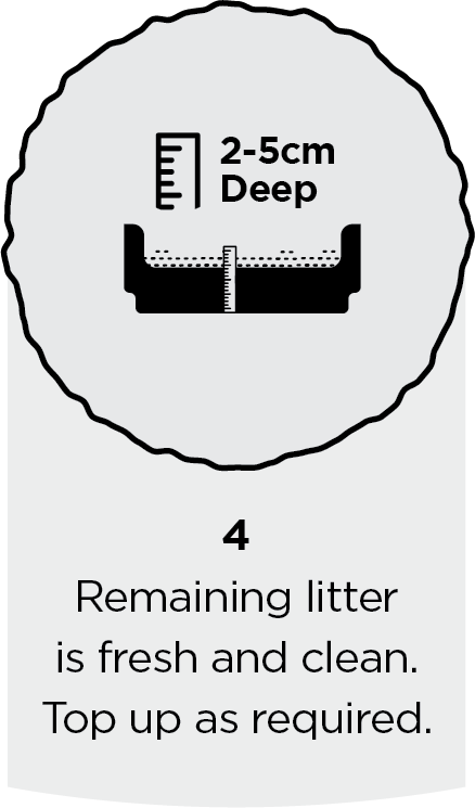 Step 4